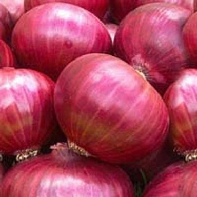 Natural Indian Fresh Red Onion
