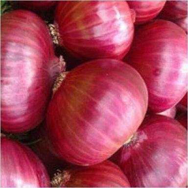 Organic Fresh A Grade Red Onion Shelf Life: 6 Week