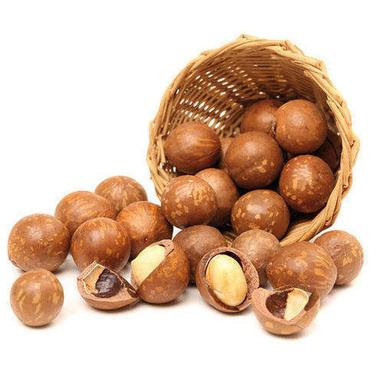 Brown Natural Fresh Macadamia Nuts 