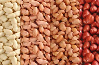 Organic Natural Fresh Peanut Kernels 