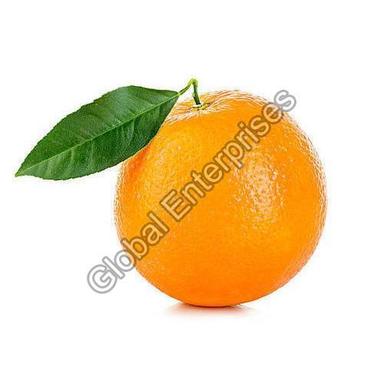 Organic Natural Fresh Orange Fruits