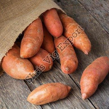 Natural Fresh Sweet Potato Preserving Compound: Cool & Dry Places