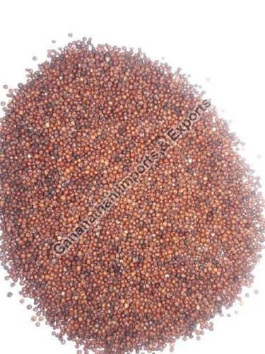 Brown Natural Finger Millet Seeds 