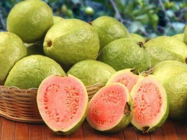 Healthy And Natural Fresh Guava Size: Standard