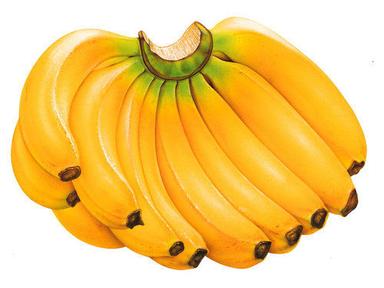 Healthy And Natural Fresh Banana Origin: India