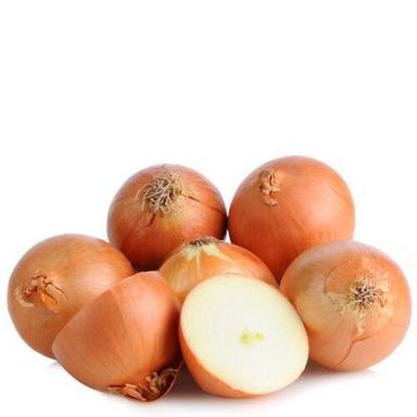 Round Healthy And Natural Organic Fresh Onion