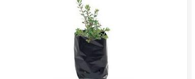 Black Plant Grow Bag