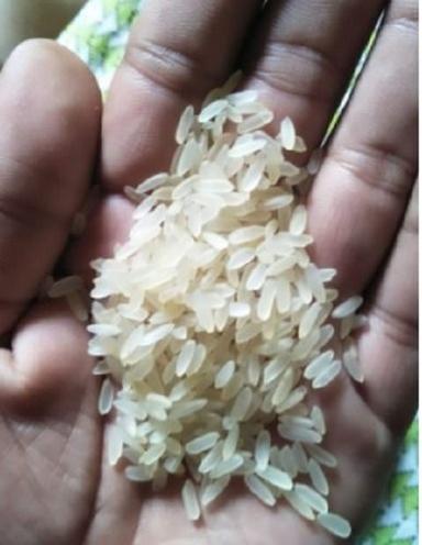 Common Organic Healthy White Rice