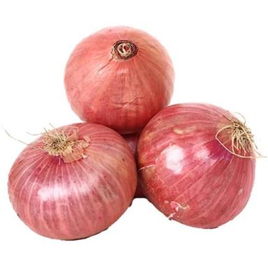 New Cultivated Fresh Red Onion Shelf Life: 1-3 Week