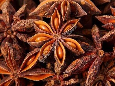Brown Star Anise Seeds For Cooking