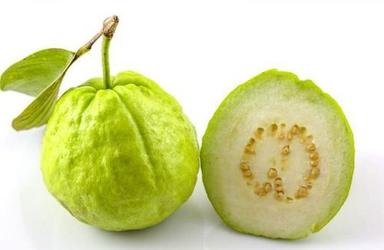 Green Healthy And Natural Organic Fresh Guava