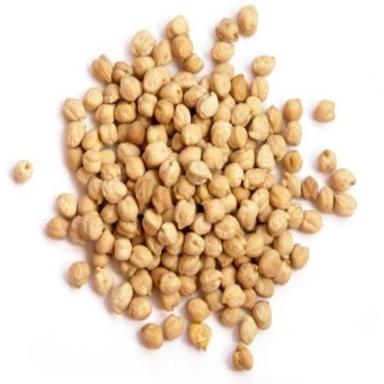 Healthy And Natural Organic Chickpeas Grain Size: Standard