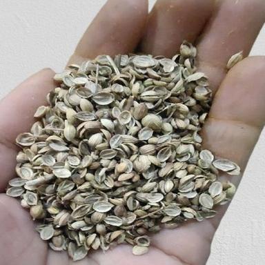 Green Healthy And Natural Organic Dried Coriander Seeds