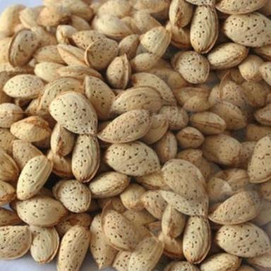 Sweet Good Quality Organic Shelled Almond