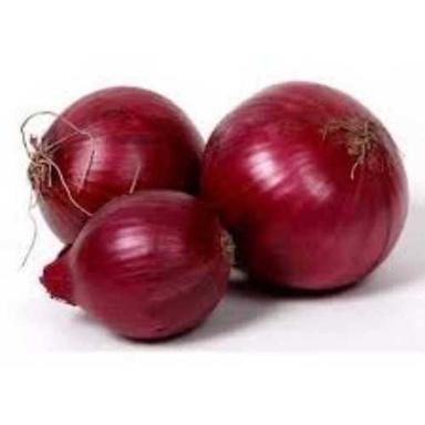 Round All Size Red Onion 