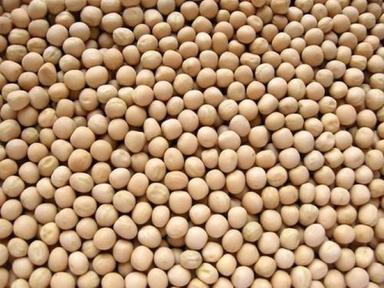 Indian Organic Dried White Peas Origin: Made In India