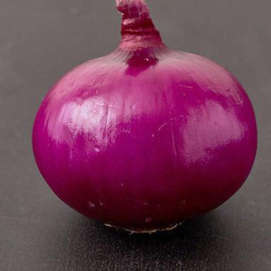 Seasoned Premium Hybrid Red Onion