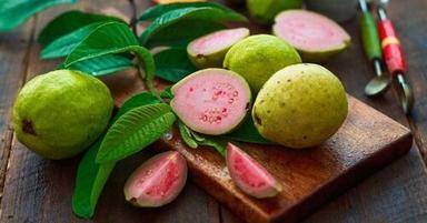Green Natural Fresh Guava Fruits