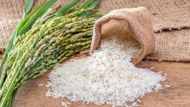 White Non Basmati Rice For Cooking