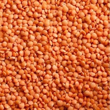 Healthy And Natural Dried Red Lentils Grain Size: Standard
