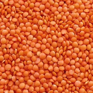 Healthy And Natural Organic Red Masoor Dal Grain Size: Standard