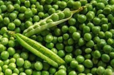 Fresh Green Peas For Cooking Preserving Compound: Cool & Dry Places