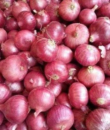 Round Fresh Natural Red Onion