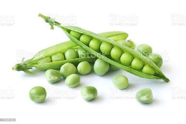 Fresh Green Peas For Cooking Preserving Compound: Cool & Dry Places