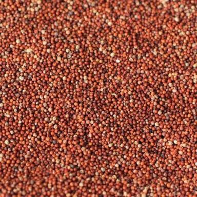 Organic Dried Red Finger Millet Purity: High