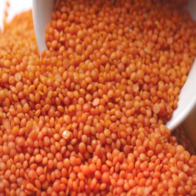 Easy To Cook Healthy To Eat Organic Dried Red Lentils Grain Size: Standard