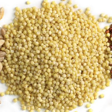 Healthy And Natural Organic Millet Seeds Grade: Food Grade