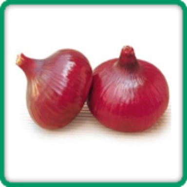 Round & Oval Organic Fresh Red Onion Size 40 Mm To 80 Mm