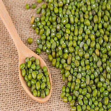 Organic Natural And Healthy Green Mung Beans Grain Size: Standard