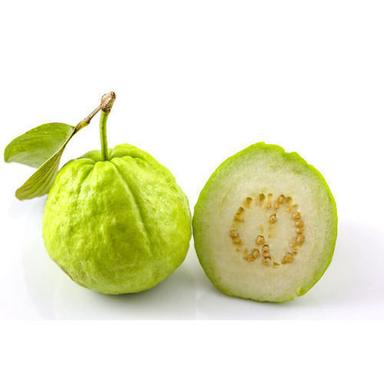 Common 100% Mature Organic Green Sweet Guava