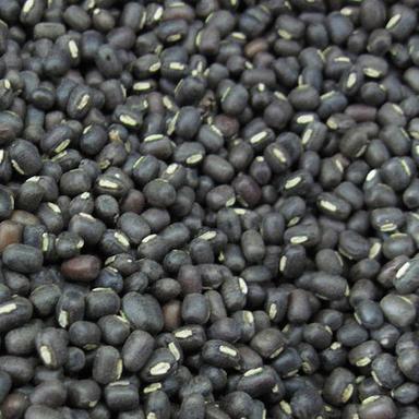 Fssai Certified Organic Black Whole Urad Dal Grain Size: Standard
