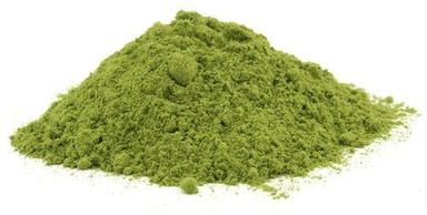 Green Moringa Leaf Powder For Using Cosmetic And Medicine Ingredients: Herbs