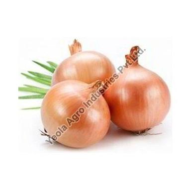 Round & Oval Organic Healthy And Natural Fresh Yellow Onion