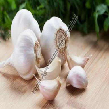 Rich In Taste Healthy and Natural Fresh White Garlic
