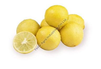 Round & Oval Sour Pesticide Free Organic Fresh Yellow Lemon