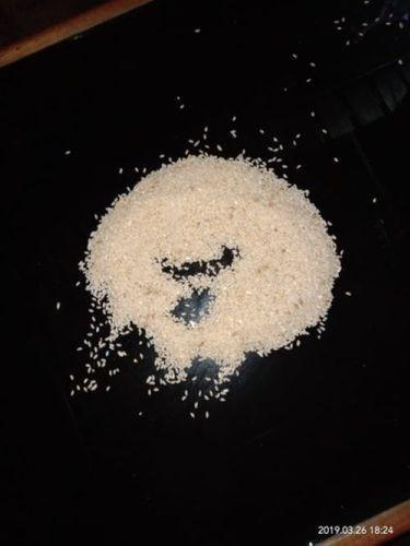 White Slender Shape Natural Joha Rice Grain