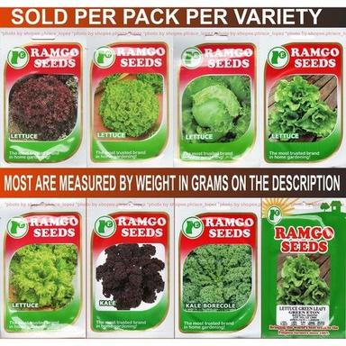 Organic Top Quality Romaine Lettuce Seeds For Planting