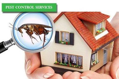 Household Pest Control Service