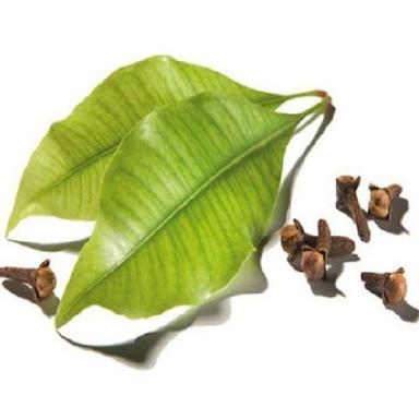 Natural And Pure Clove Leaf Essential Oil Age Group: Adults