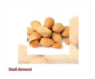 Brown Delicious Taste Sun Dried Shell Almond