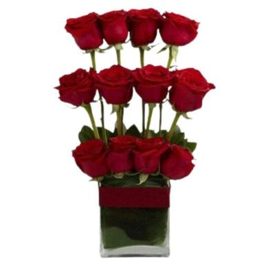  ऑर्गेनिक नेचुरल फ्रेश ए ग्रेड लाल गुलाब विशेष अवसर पर किसी को उपहार देने के लिए रचनात्मक रूप से व्यवस्थित किया गया है शेल्फ लाइफ: 7 से 10 दिन 