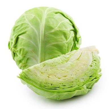 Round & Oval Healthy And Natural Fresh Green Cabbage