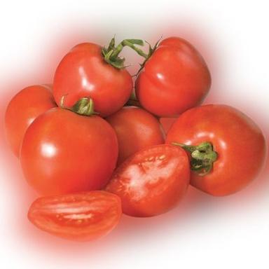 Round Indian Origin Organically Cultivated And Naturally Fresh A Grade Red Tomatoes