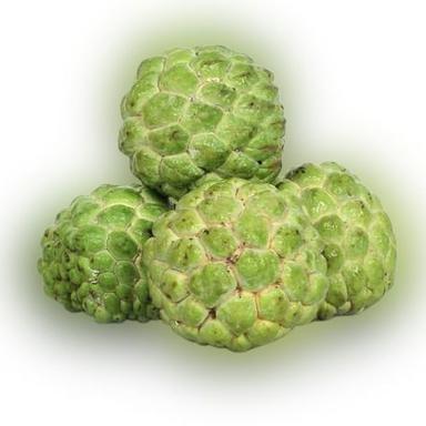 Round Naturally And Organically Grown Highly Healthy A Grade Fresh Sweet Custard Apple