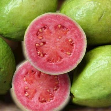 Round Naturally Clean And Quality Assured Organic Fresh A Grade Red Guava