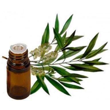 Assured Quality Tea Tree Essential Oil Age Group: Old Age